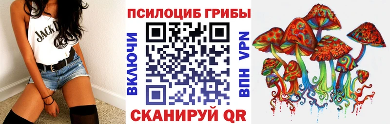 Купить закладки  Томмот  Галлюциногенные грибы Magic Shrooms 